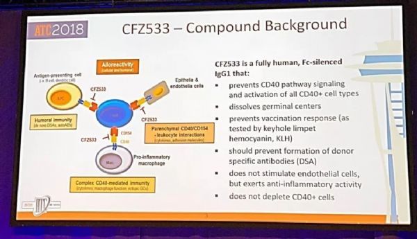 New medicine for kidney transplantation! Novartis terminates phase 2 kidney transplantation study of CD40-targeted monoclonal antibody iscalimab: less effective than tacrolimus!